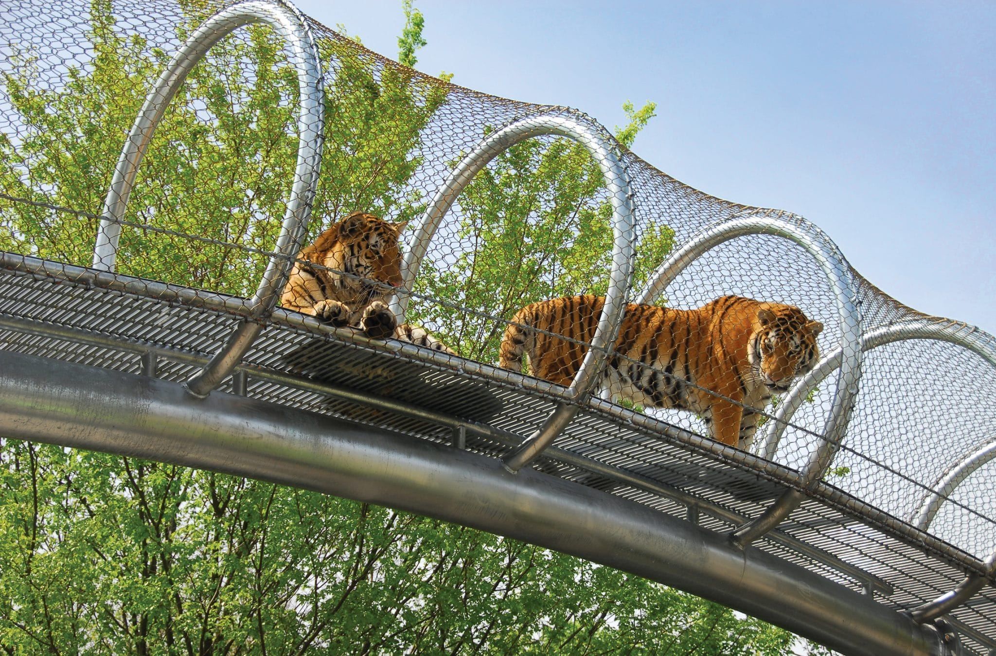The Best Zoos in Australia: Where to See Unique Animals
